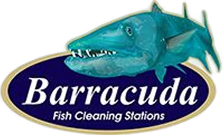 Barracuda Fish Cleaning